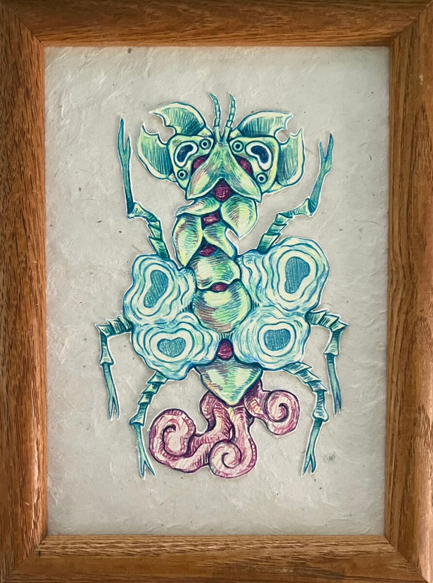 Insect Alien Ready For Inspection, Coloured Pencil on Paper, 2026